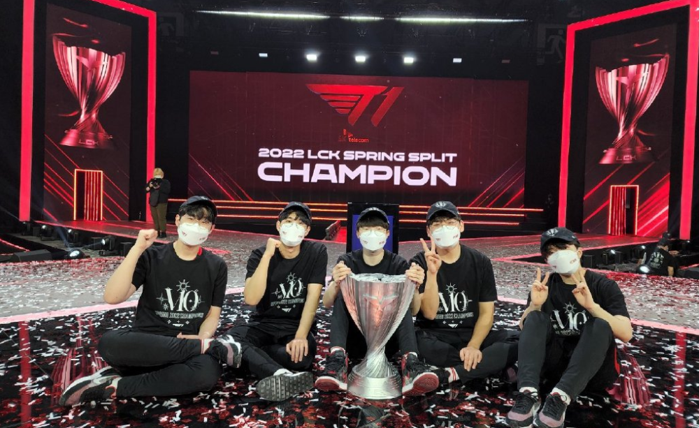 传统的松子 传统的松子